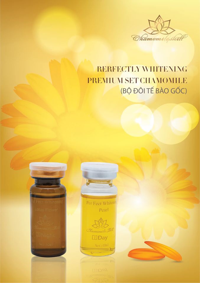 Tế bào gốc Chamomile